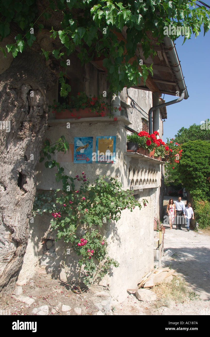 Vecchia casa nella città medievale di Stanjel nella Valle del Vipava Slovenia Foto Stock