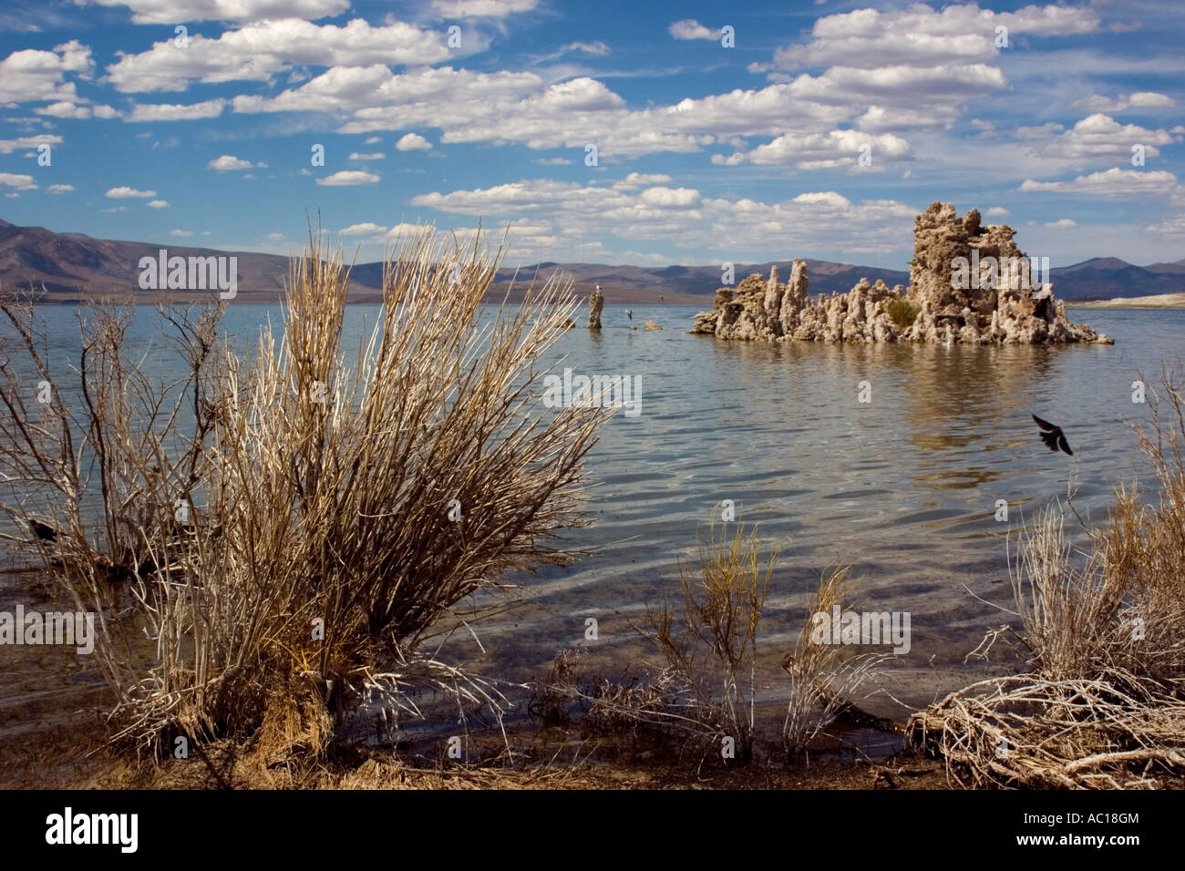 Mono Lake è un metallo alcalino e il lago di hypersaline in Mono County, California Foto Stock