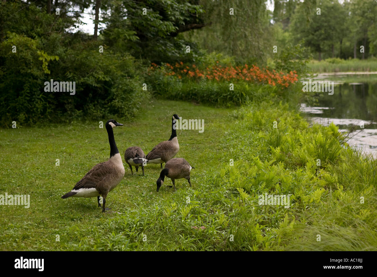 Oche per motivi di Eleanor Roosevelts Val Kill residence in Hyde Park New York Foto Stock