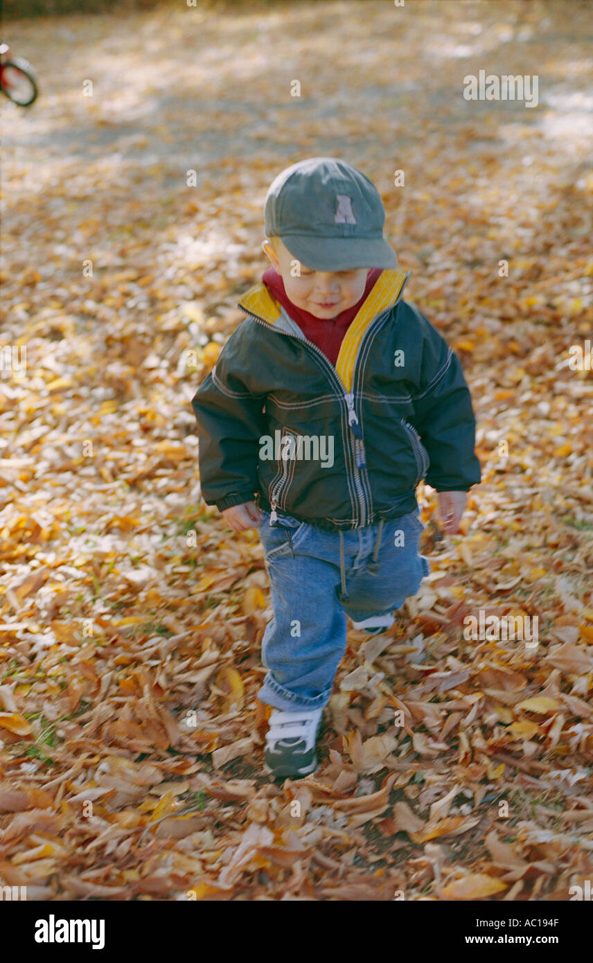 Ragazzo giovane camminando sulle foglie secche Foto Stock Ragazzo giovane camminando sulle foglie secche Foto Stock