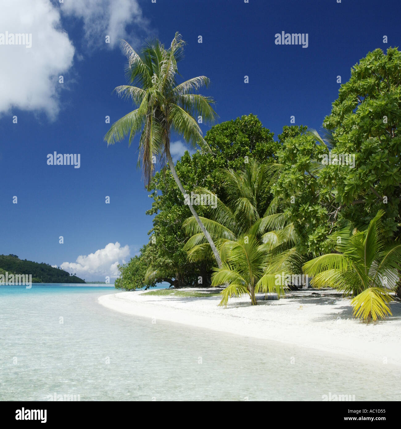 Paradiso tropicale di Bora Bora in Polinesia francese nel Sud del Pacifico Foto Stock