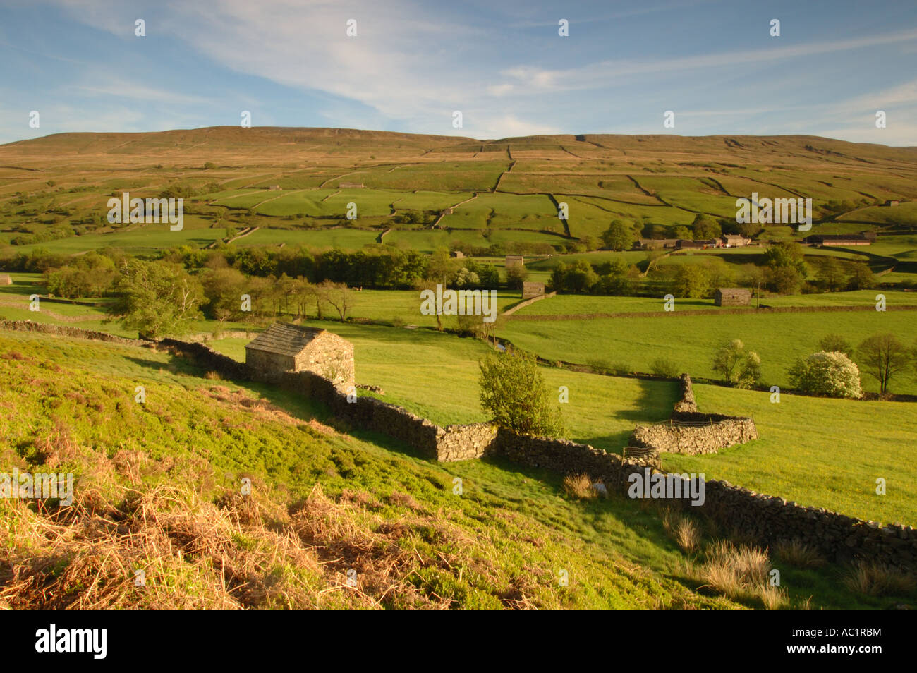 Fienili, Thwaite, Swaledale Foto Stock