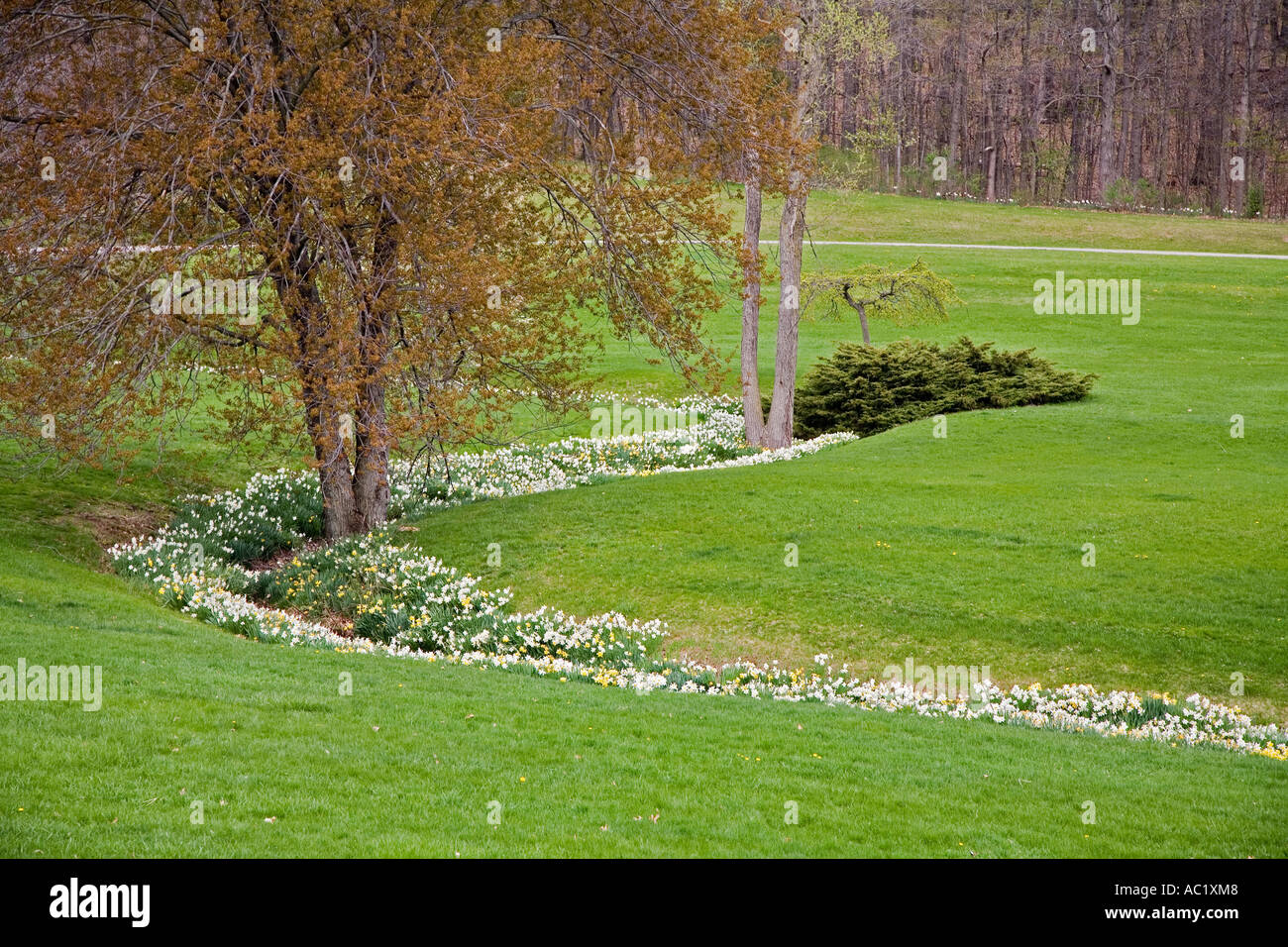 Hidden Lake Gardens Foto Stock