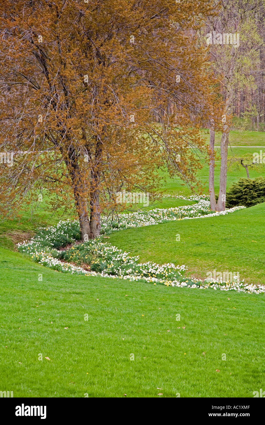 Hidden Lake Gardens Foto Stock