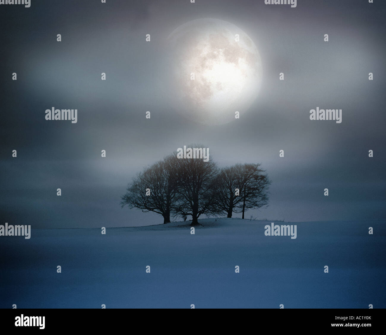 GB - GLOUCESTERSHIRE: Moonlight su Cleeve Hill vicino a Cheltenham Foto Stock