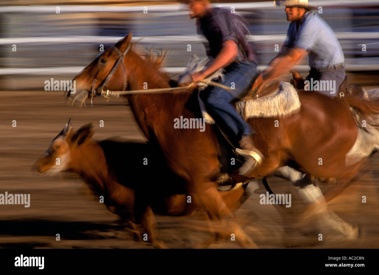 Normanton Rodeo, Queensland, Australia, orizzontale Foto Stock