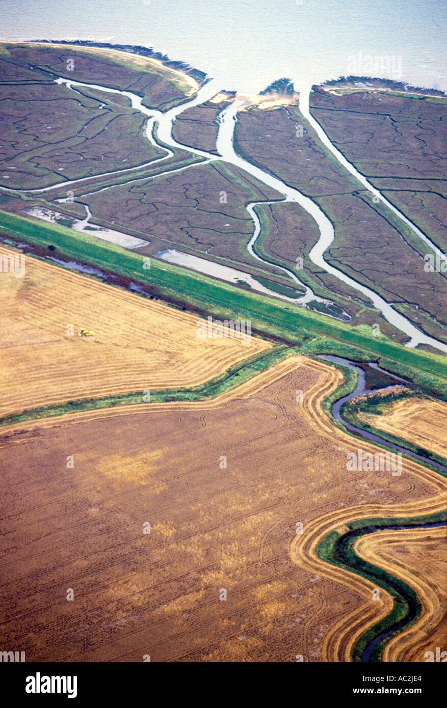 Zone umide di marea a nord di Walton con terreni agricoli protetti da dighe e canali di drenaggio Essex Foto Stock