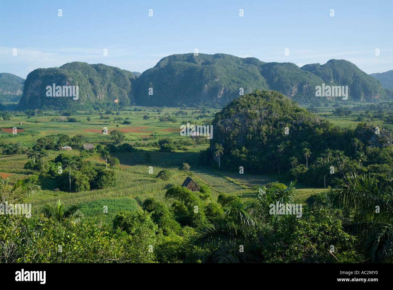 Vinales Valley, Cuba Foto Stock