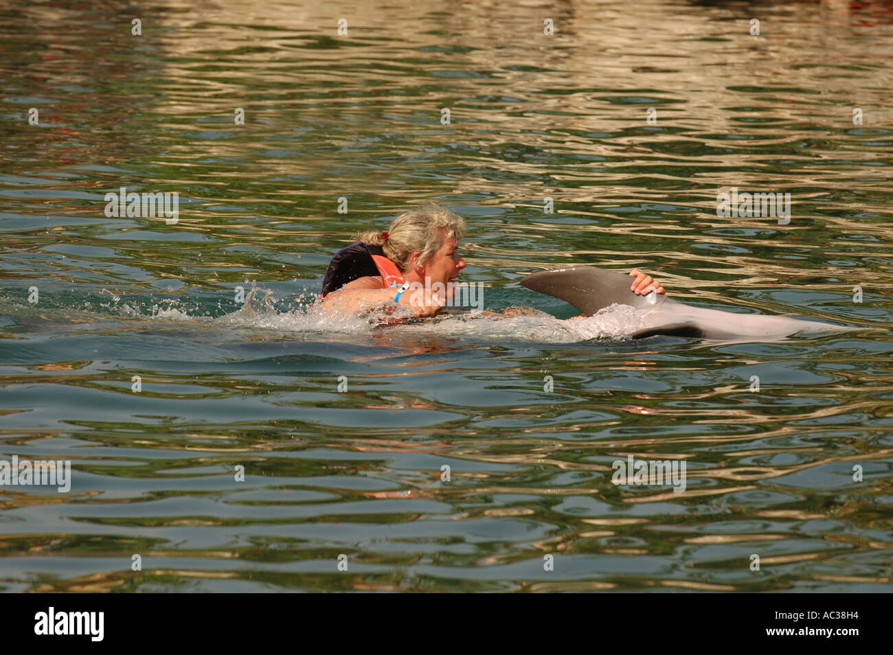 Una donna tiene sulla pinna, come lei ottiene un giro dal Dolphin in Messico. Foto Stock