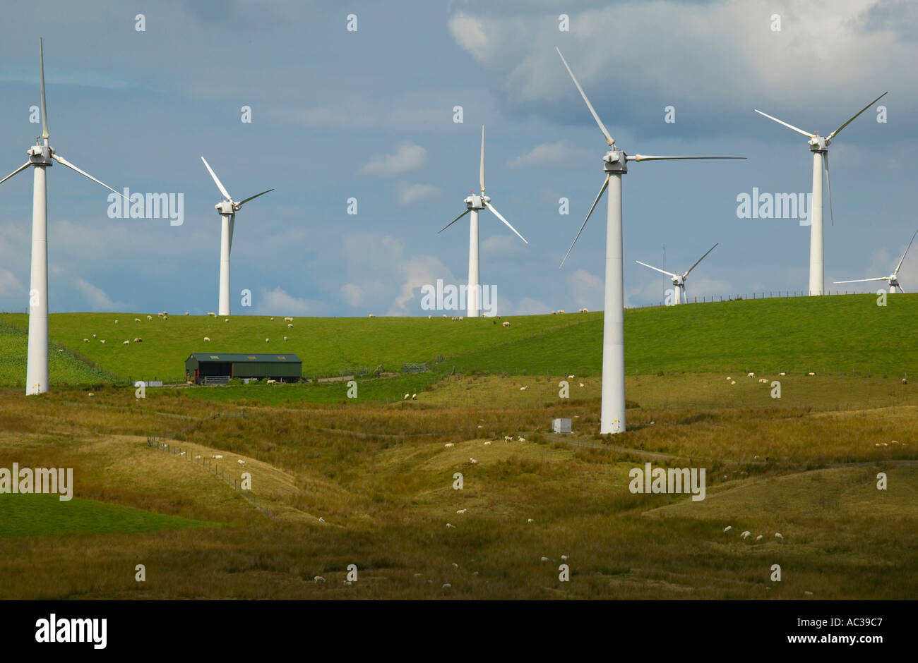 Le turbine eoliche a Penrhyddlan e centrali eoliche Llidiartywaun Galles centrale Foto Stock