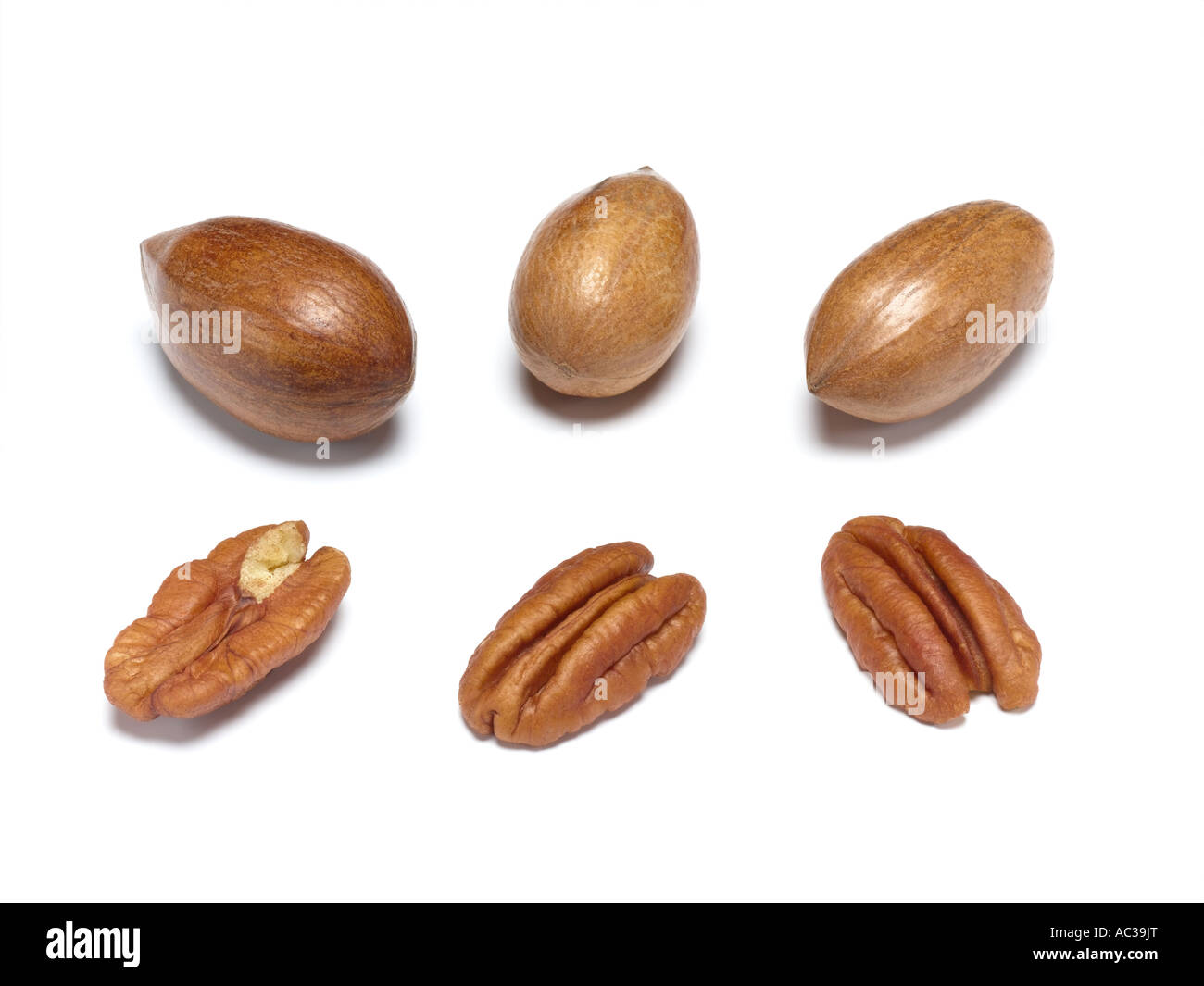 noci pecan Foto Stock