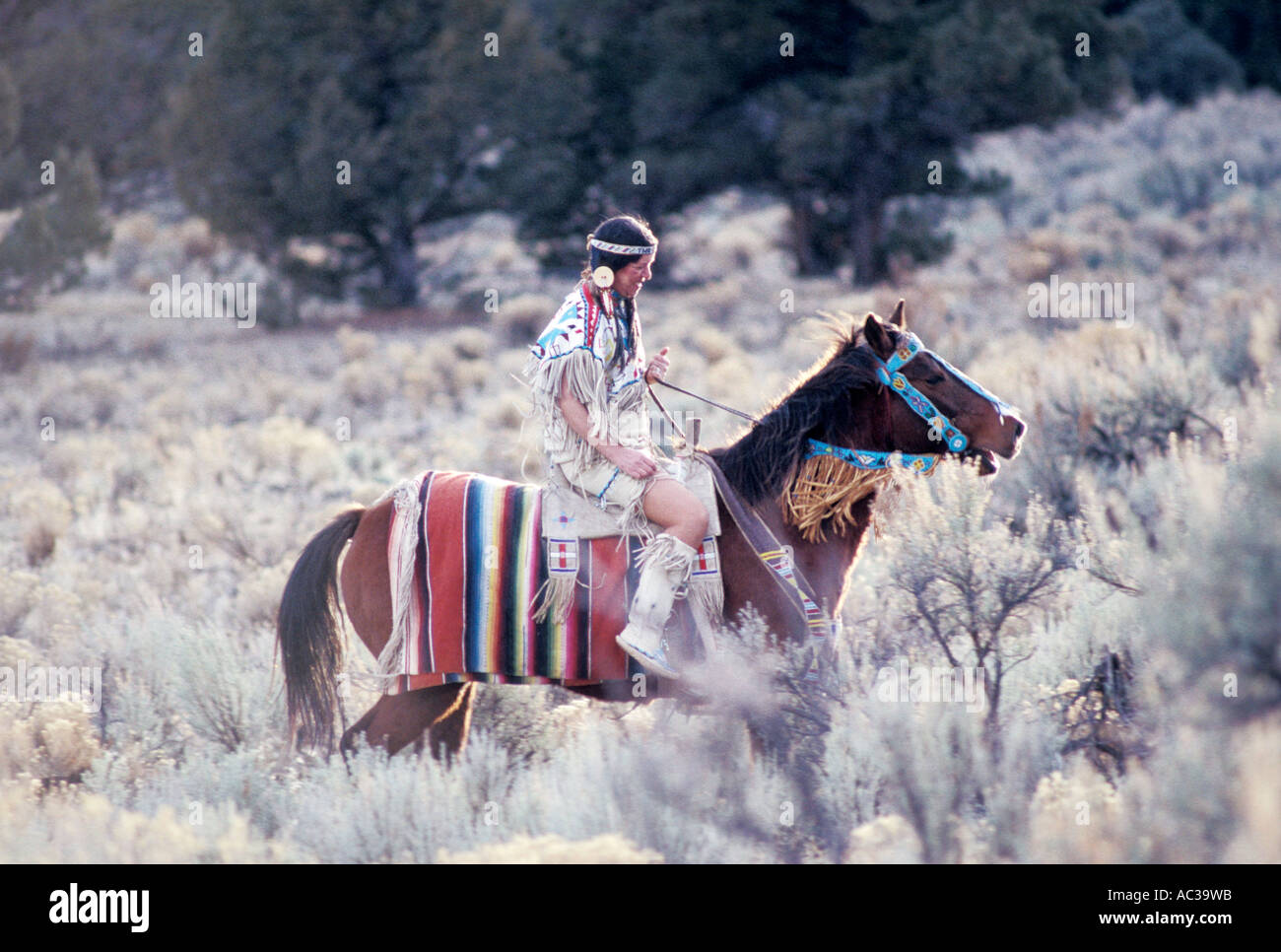 Donna in abito nativo di Equitazione attraverso la spazzola basso Foto Stock