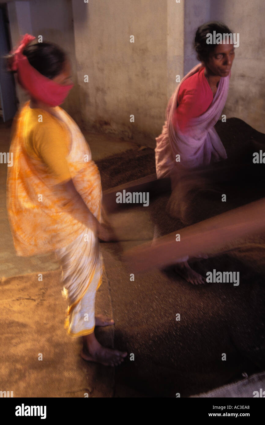 India, Cochin, setacciatura di pepe nero in magazzino delle spezie Foto Stock