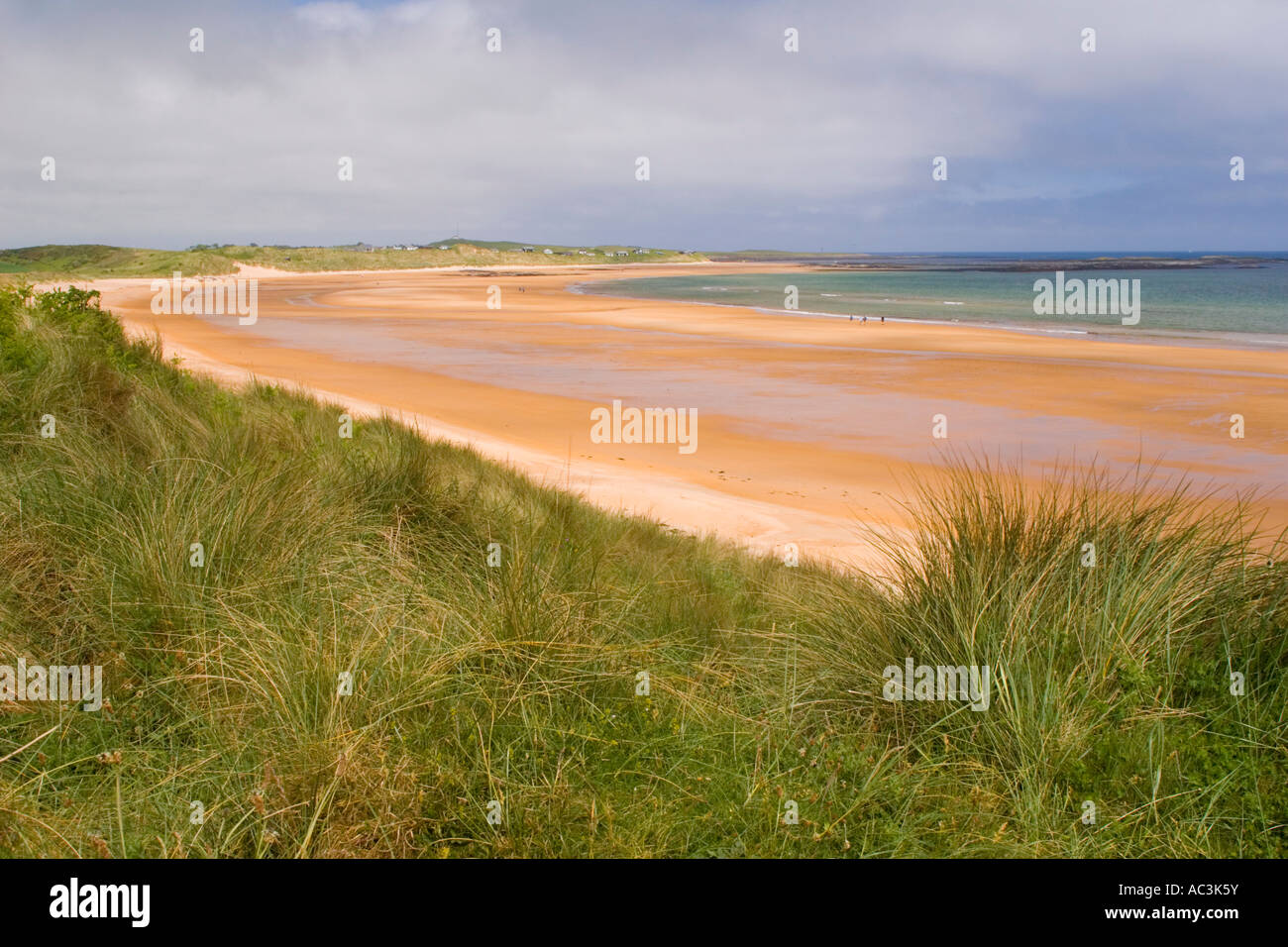 Vista sul lungomare erbosa su una spiaggia deserta di Embleton in Northumberland. Foto Stock