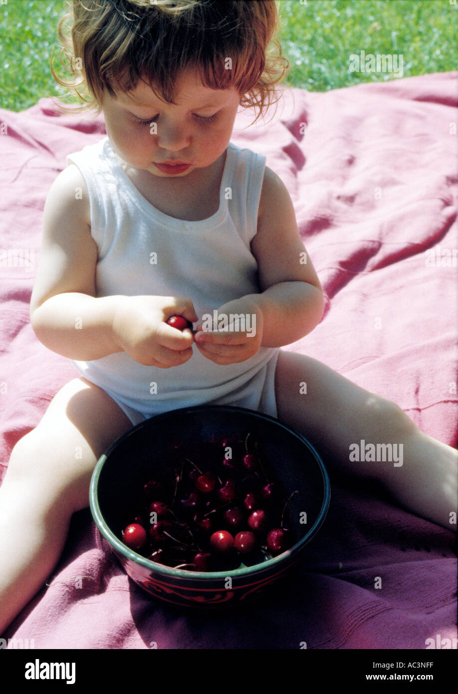 Ciotola di ciliegie Foto Stock