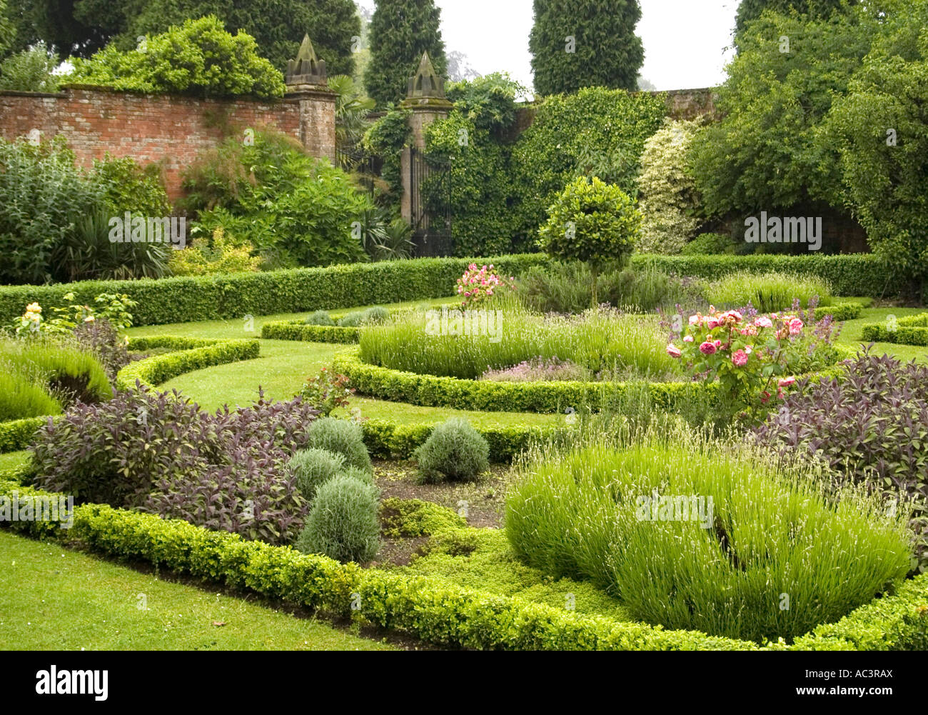 Il bel tempo primaverile giardini presso il Newstead Abbey nel Nottinghamshire Foto Stock