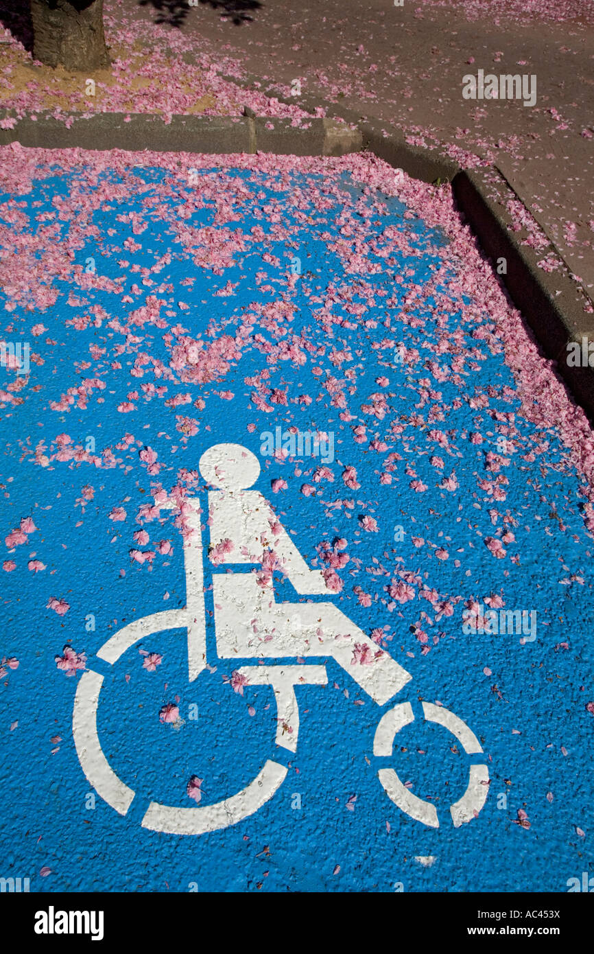Un posto di parcheggio per disabili. Emplacement de stationnement réservé aux personnes handicapées. Foto Stock