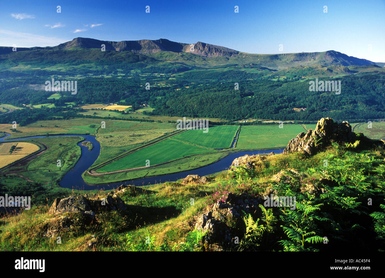 Cadair Idris e Valle Mawddach Snowdonia Wales UK 43504JM2 Foto Stock