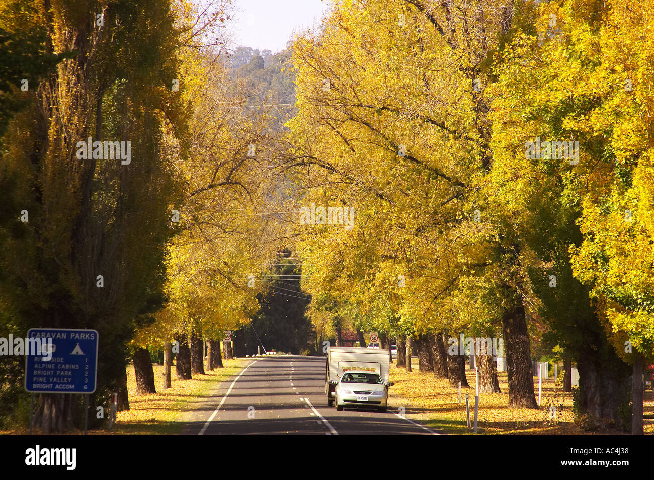 Caravan e colori autunnali su Avenue in Bright Victoria Australia Foto Stock