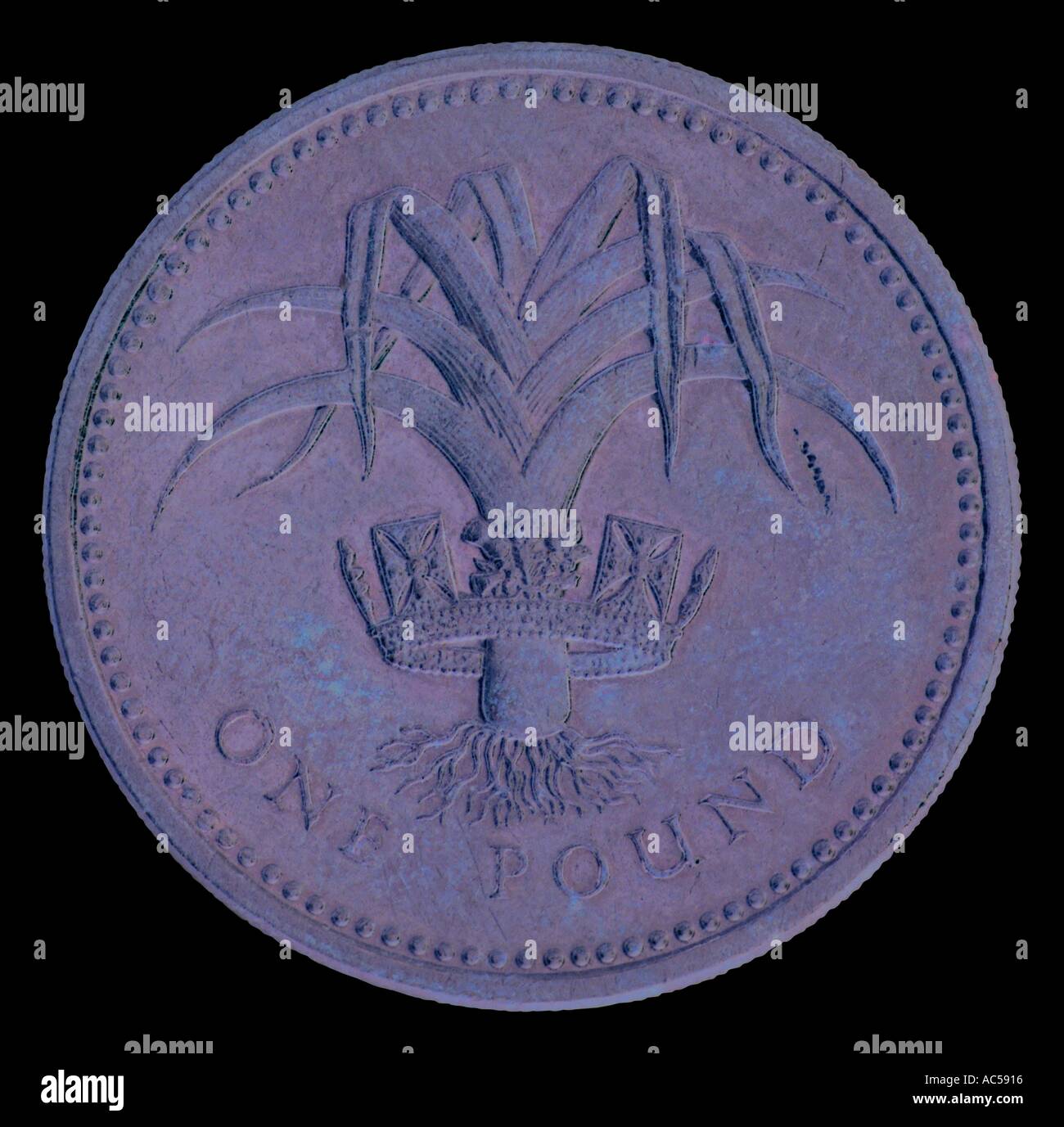 Viaggi e turismo Viaggi Turismo 1 sterling pound coin jpg sterling pound coin jpg viaggiatore Foto Stock