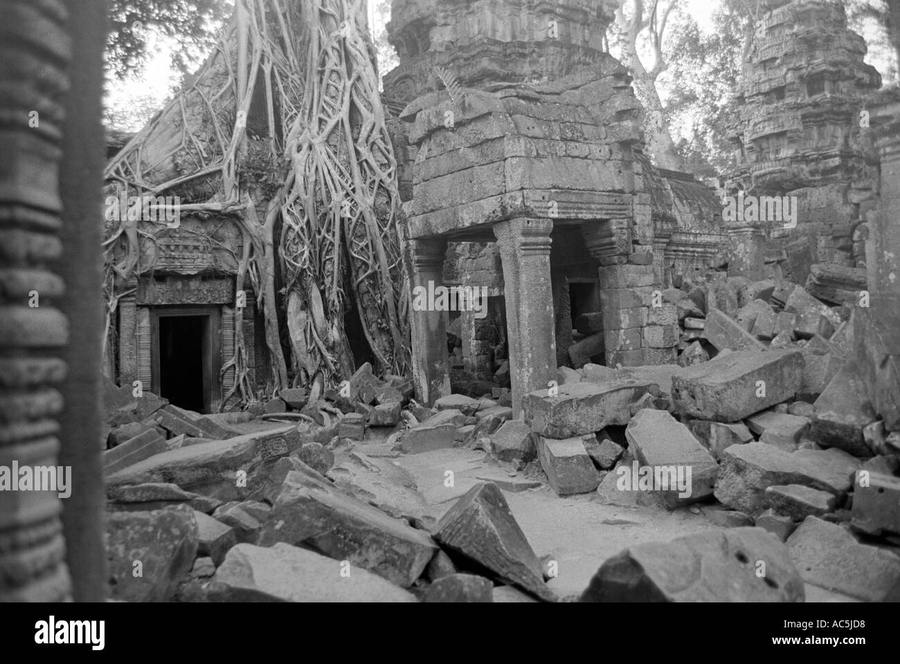 Cambogia Angkor Ta Prohm tempio essendo recuperato dalla giungla Foto Stock