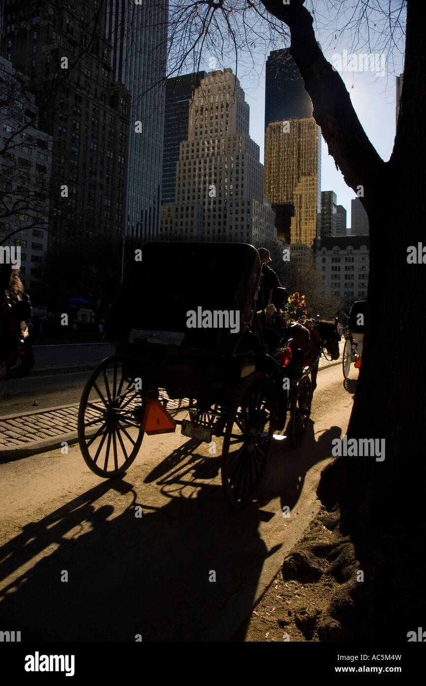 Cavallo e buggy in attesa nel Central Park di New York. Foto Stock