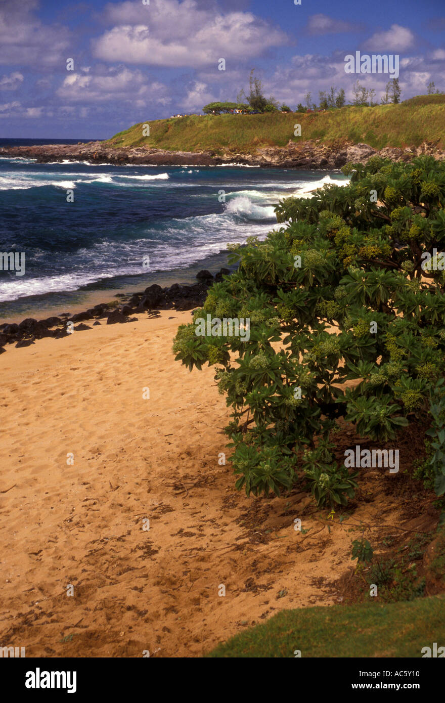 Hookipa Beach, Hookipa Beach County Park, Maui, Isola di Maui, Hawaii, Stati Uniti Foto Stock