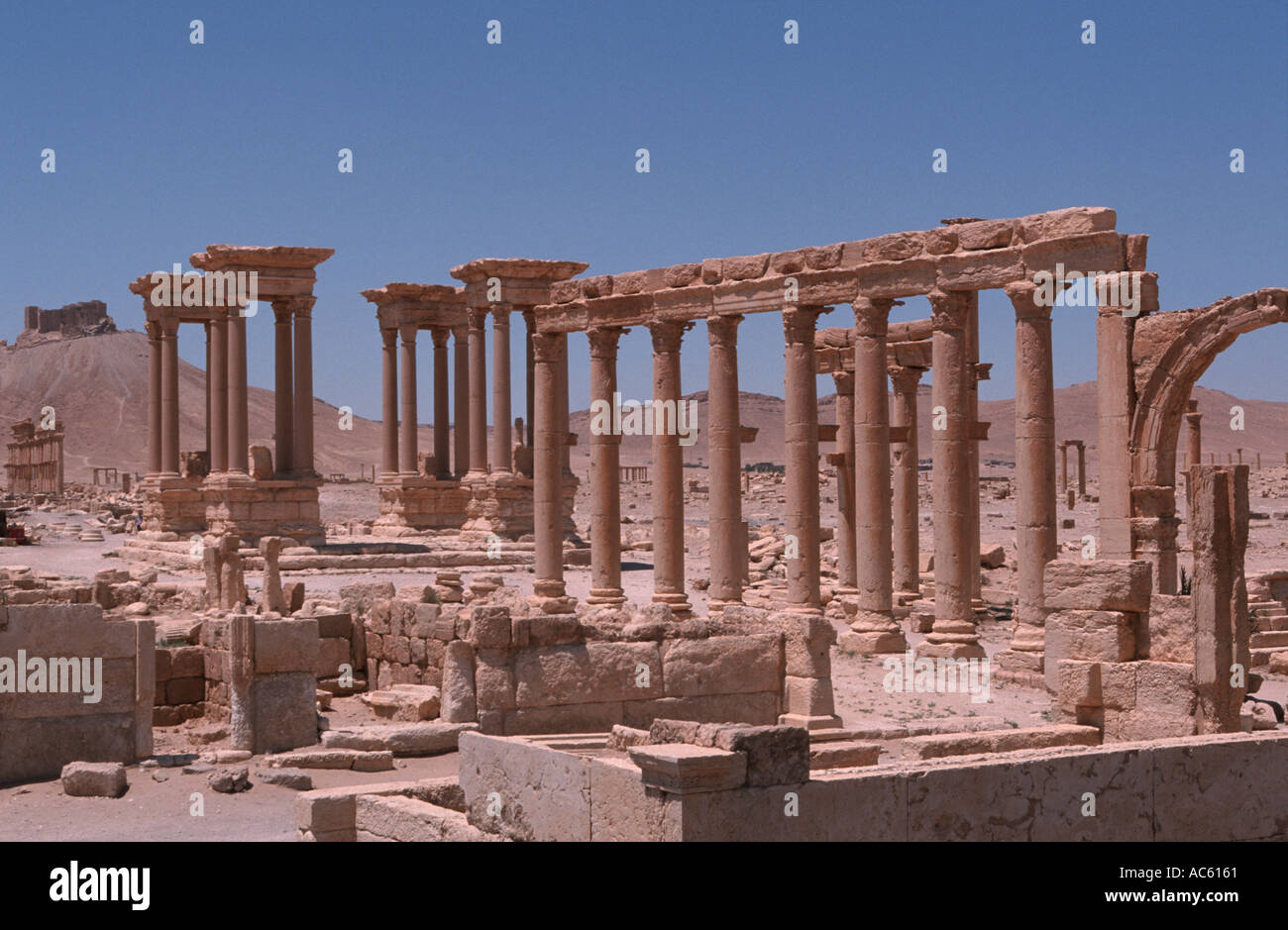 Rovine di Palmyra Siria Foto Stock