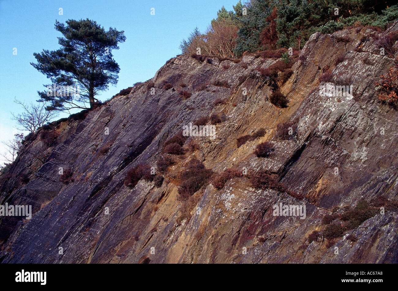Elan valley versante powys wales uk Foto Stock