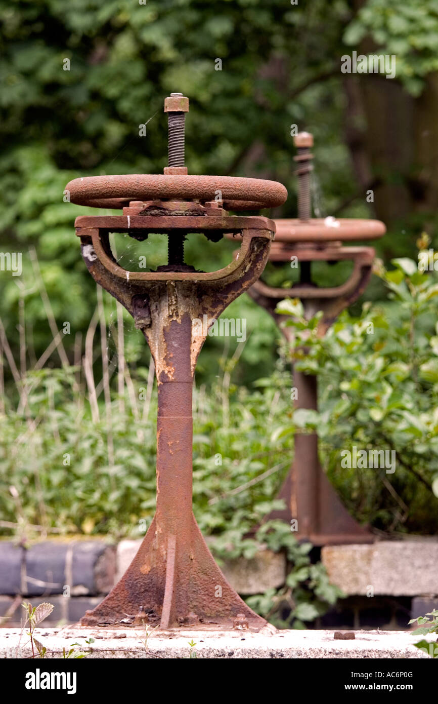 Il vecchio chiuse Essex, Inghilterra, Regno Unito Foto Stock