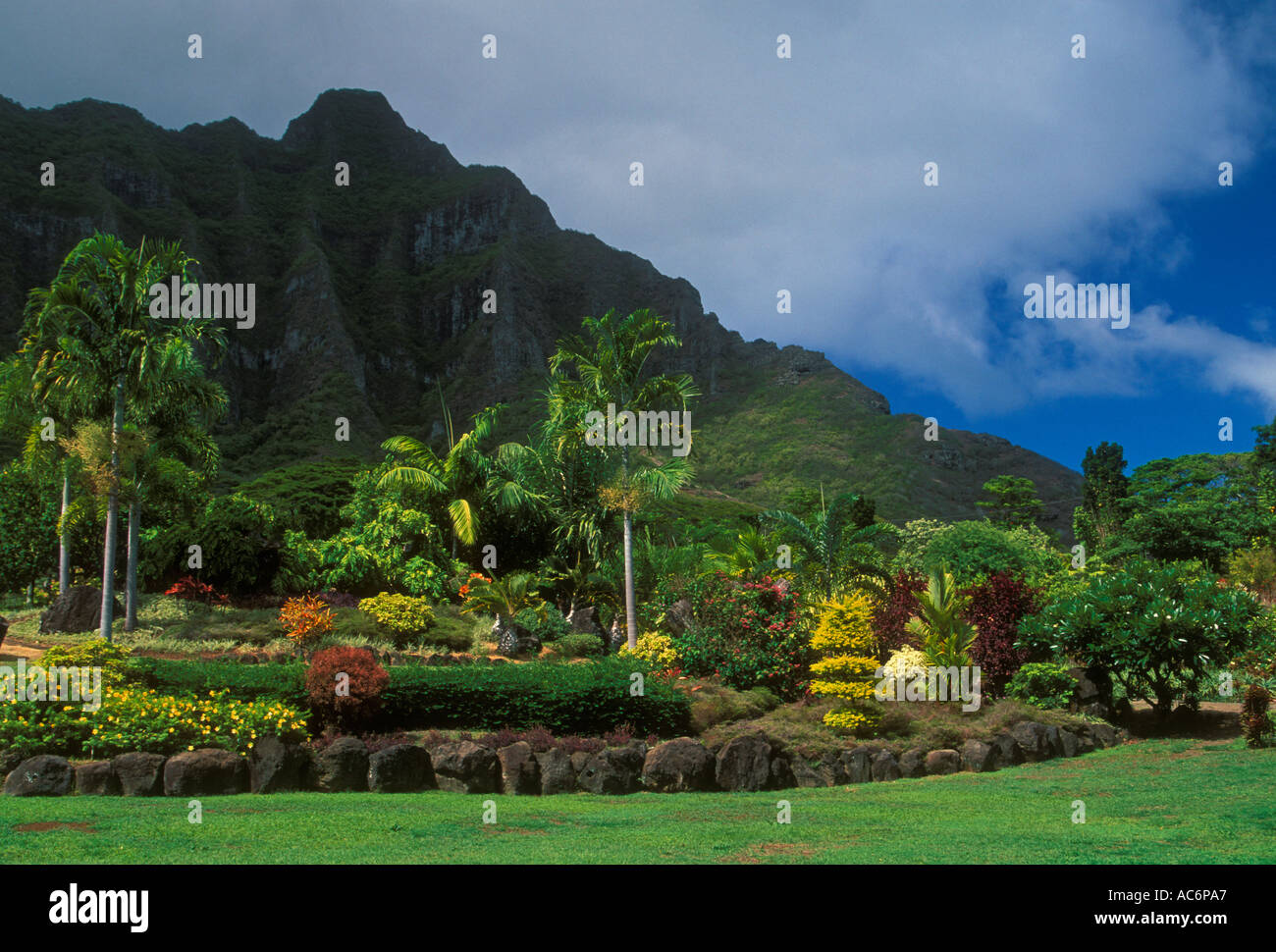 Giardino, giardini, giardino, giardino paesaggistico, Kualoa Mountain Range, Kualoa Ranch Kualoa, Oahu Island, Oahu, Hawaii Foto Stock