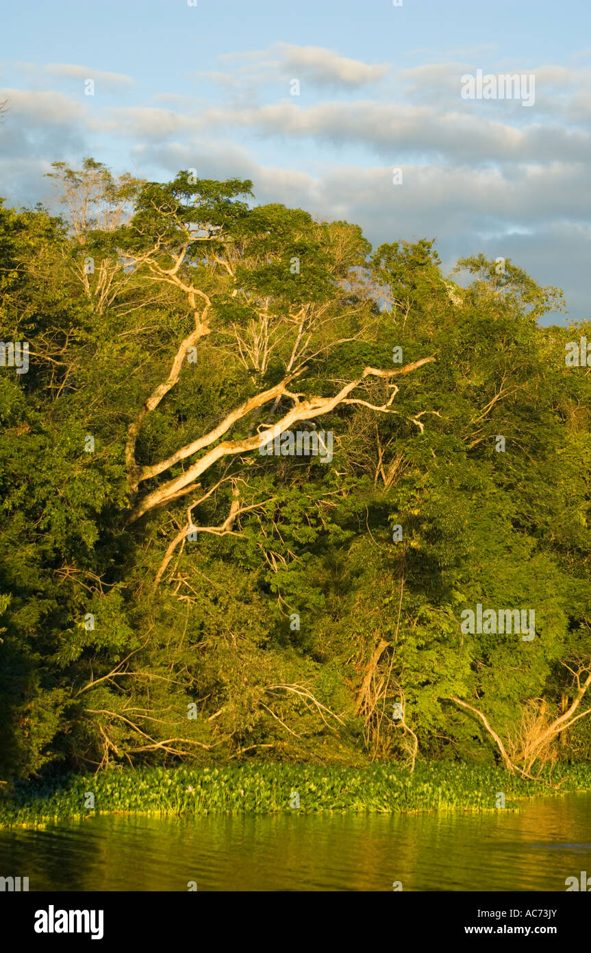 Lago Ravelobe, foresta secca, Ankarafantsika Parco nazionale del Madagascar Foto Stock