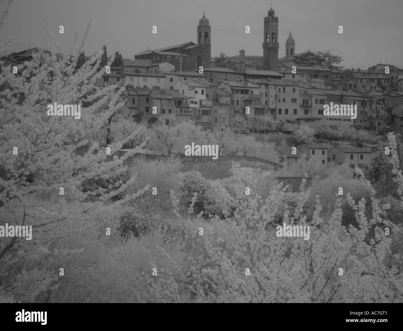 AJD35116, Toscana, Italia, Montalcino, Toscana, Europa Foto Stock