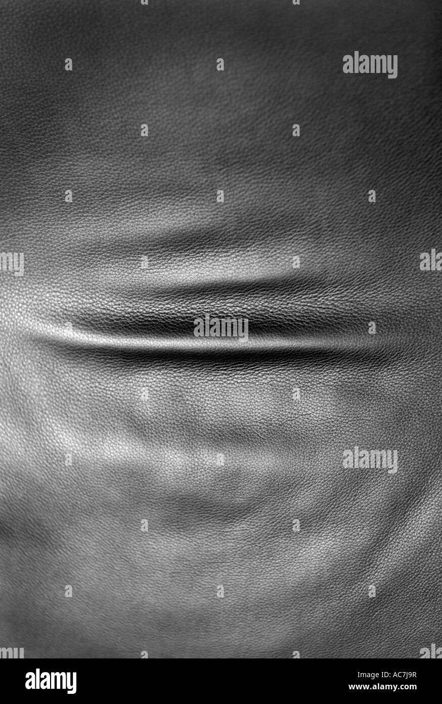 Close up di pelle nera su una sedia Foto Stock