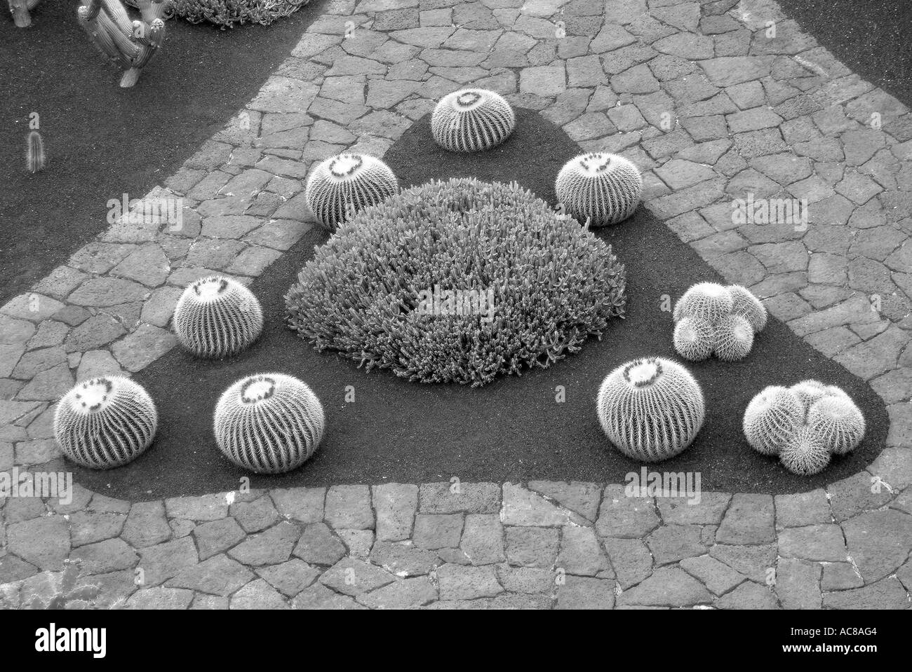 Jardin de Cactus isole canarie Lanzarote Kaktusgarten Kanarische isole Foto Stock