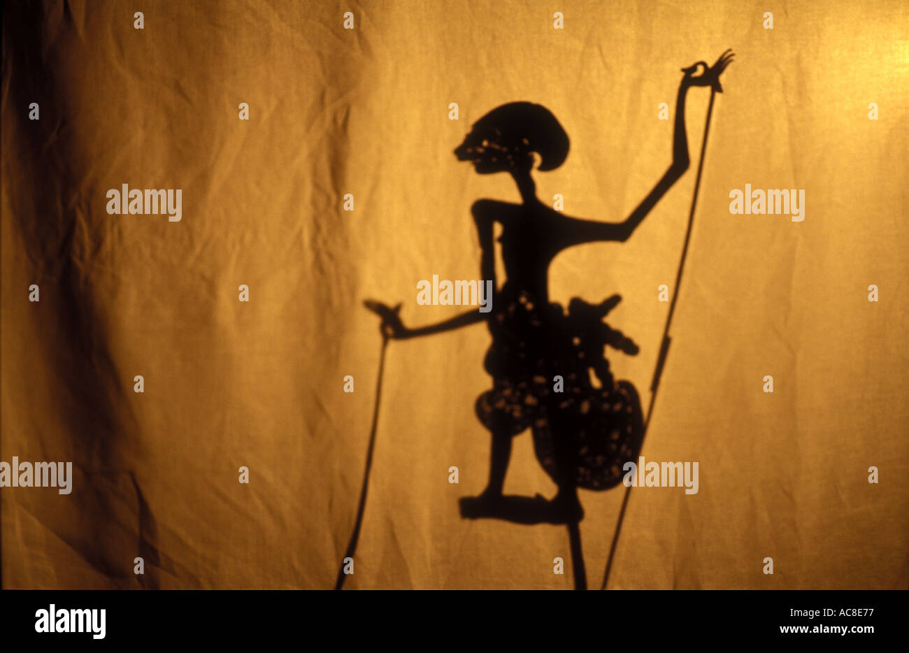 Sinta cuoio Wayang Kulit Shadow Puppet Indonesia 1536 Foto Stock