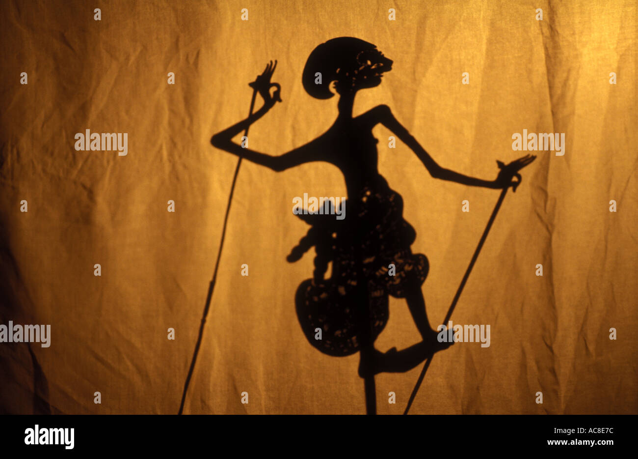 Sinta cuoio Wayang Kulit Shadow Puppet Indonesia 1538 Foto Stock