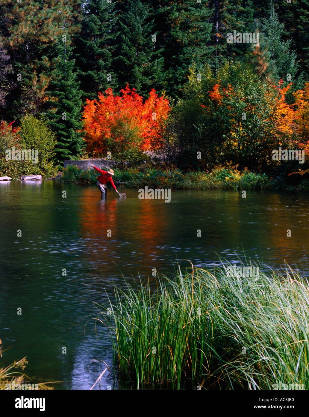 Pesca sul lago Suttle Creek durante l'autunno in alta montagna a cascata di Oregon Foto Stock