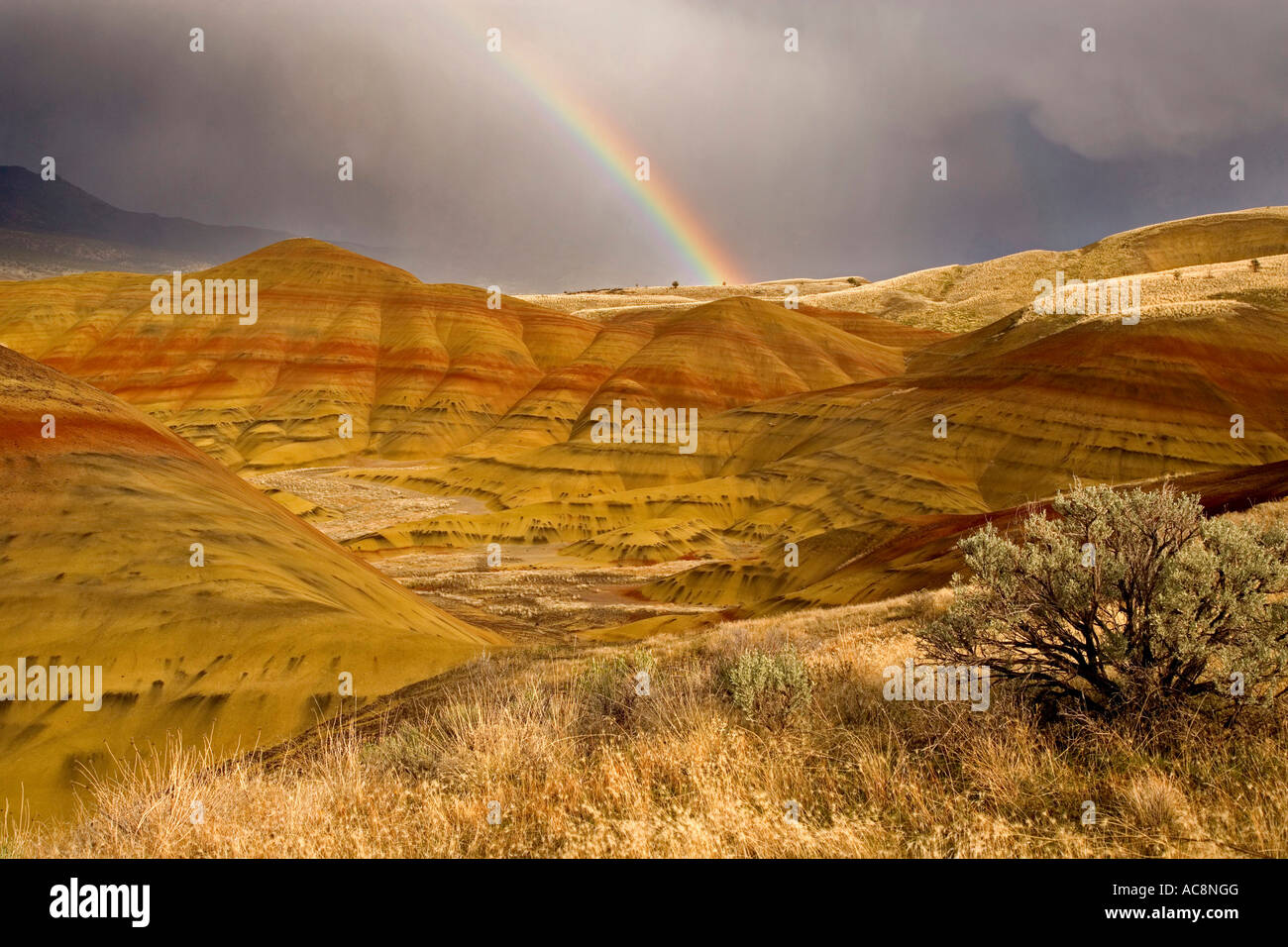 Rainbow sulle Colline, colline dipinte, John Day Fossil Beds National Monument, Oregon, Stati Uniti d'America Foto Stock