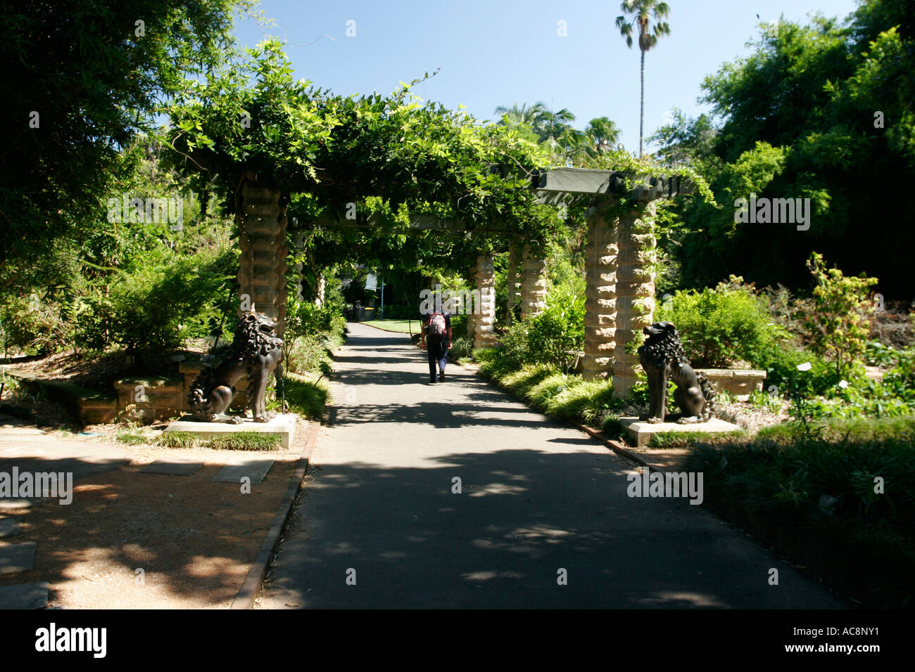 I Giardini Botanici di Sydney, Nuovo Galles del Sud Australia. Foto Stock