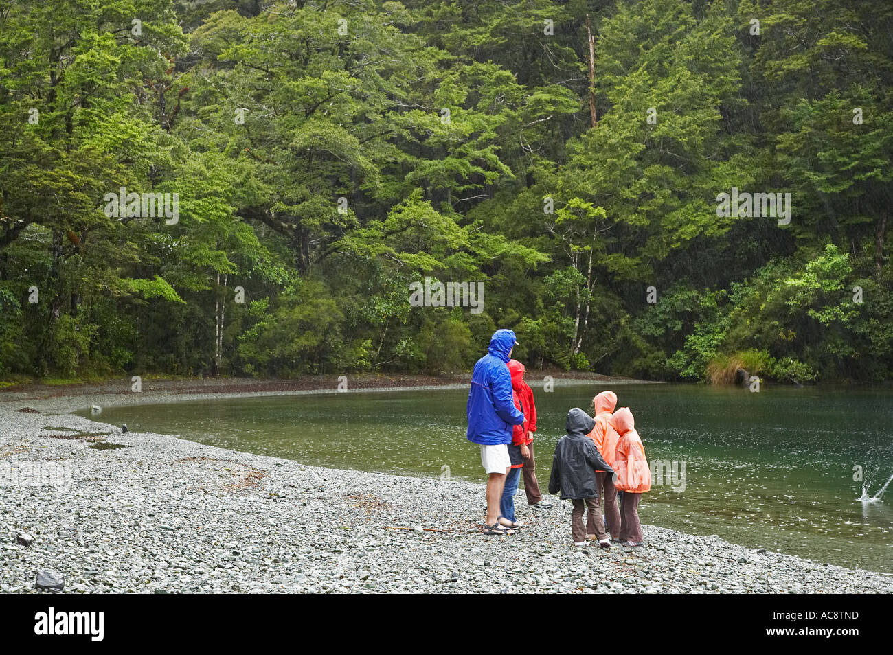 Via al Lago Gunn Milford Road Parco Nazionale di Fiordland Isola del Sud della Nuova Zelanda Foto Stock