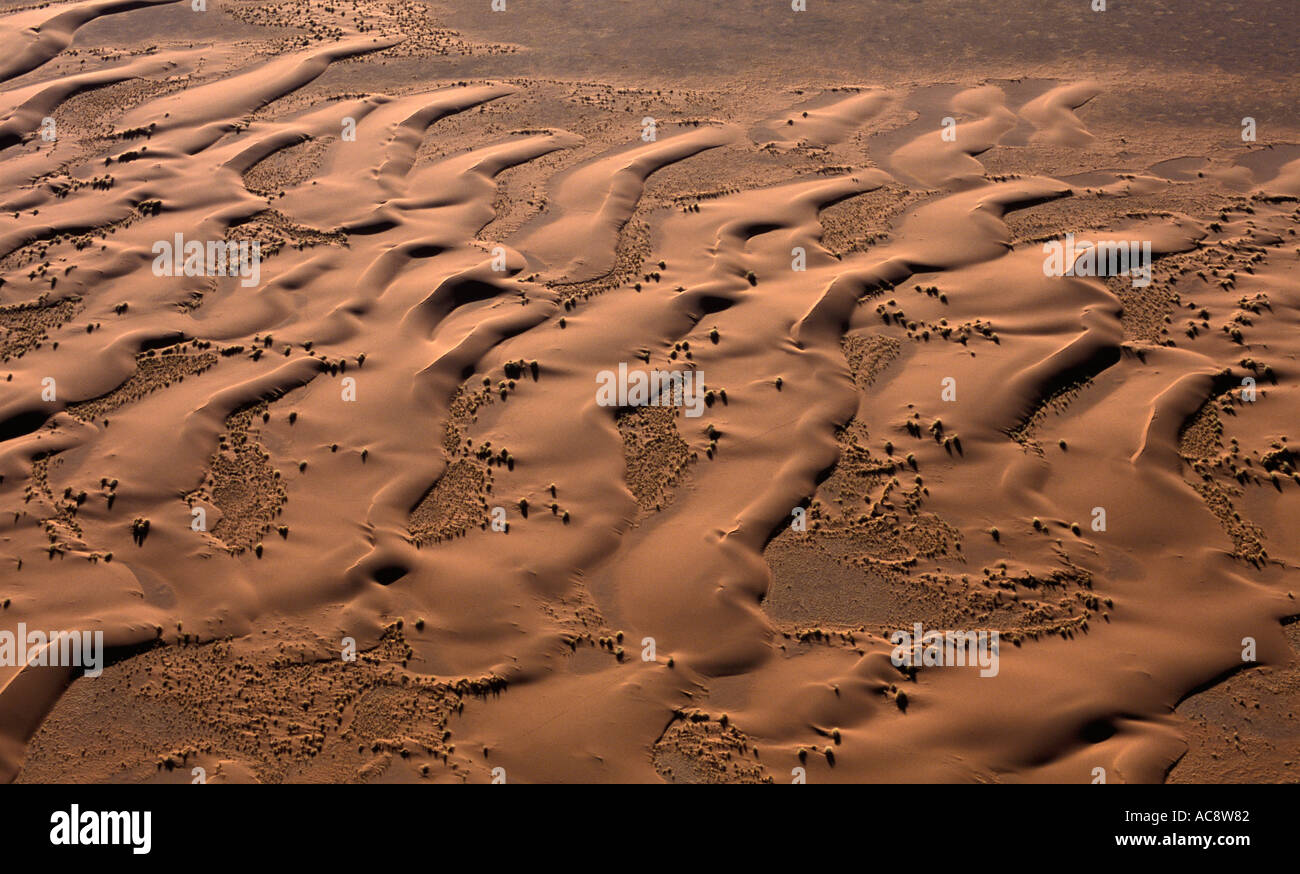 Barchan dune del deserto del Namib fotografia aerea Foto Stock