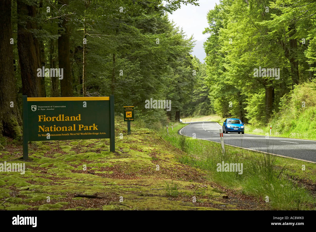 Ingresso al Parco Nazionale di Fiordland Fiordland Isola del Sud della Nuova Zelanda Foto Stock