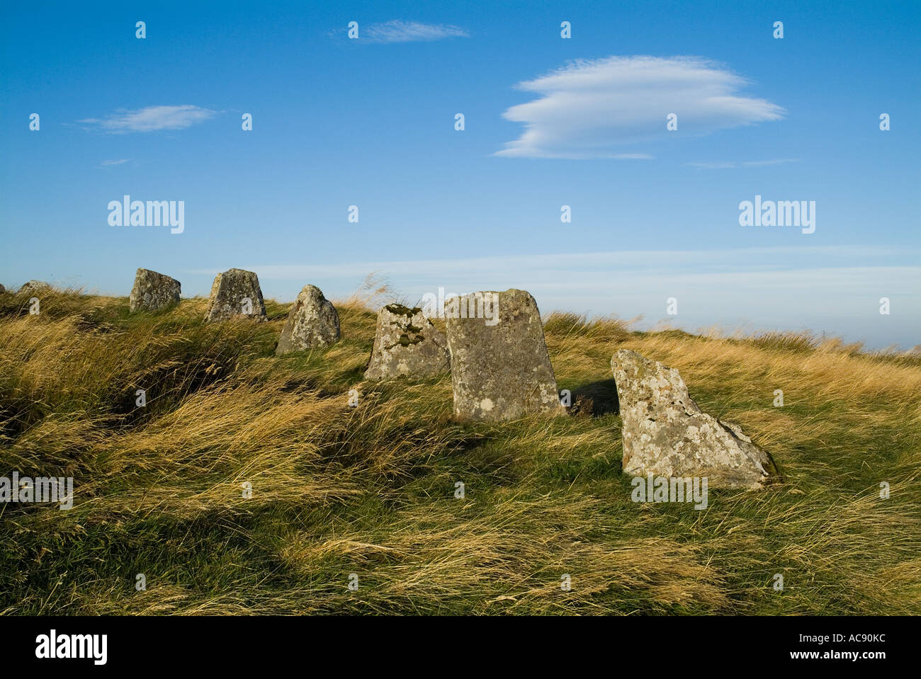 dh Stemster Stones Stemster Stemster CAITHNESS SCOZIA Achavanich pietra megalitica Cerchio piccole pietre in piedi henge Foto Stock