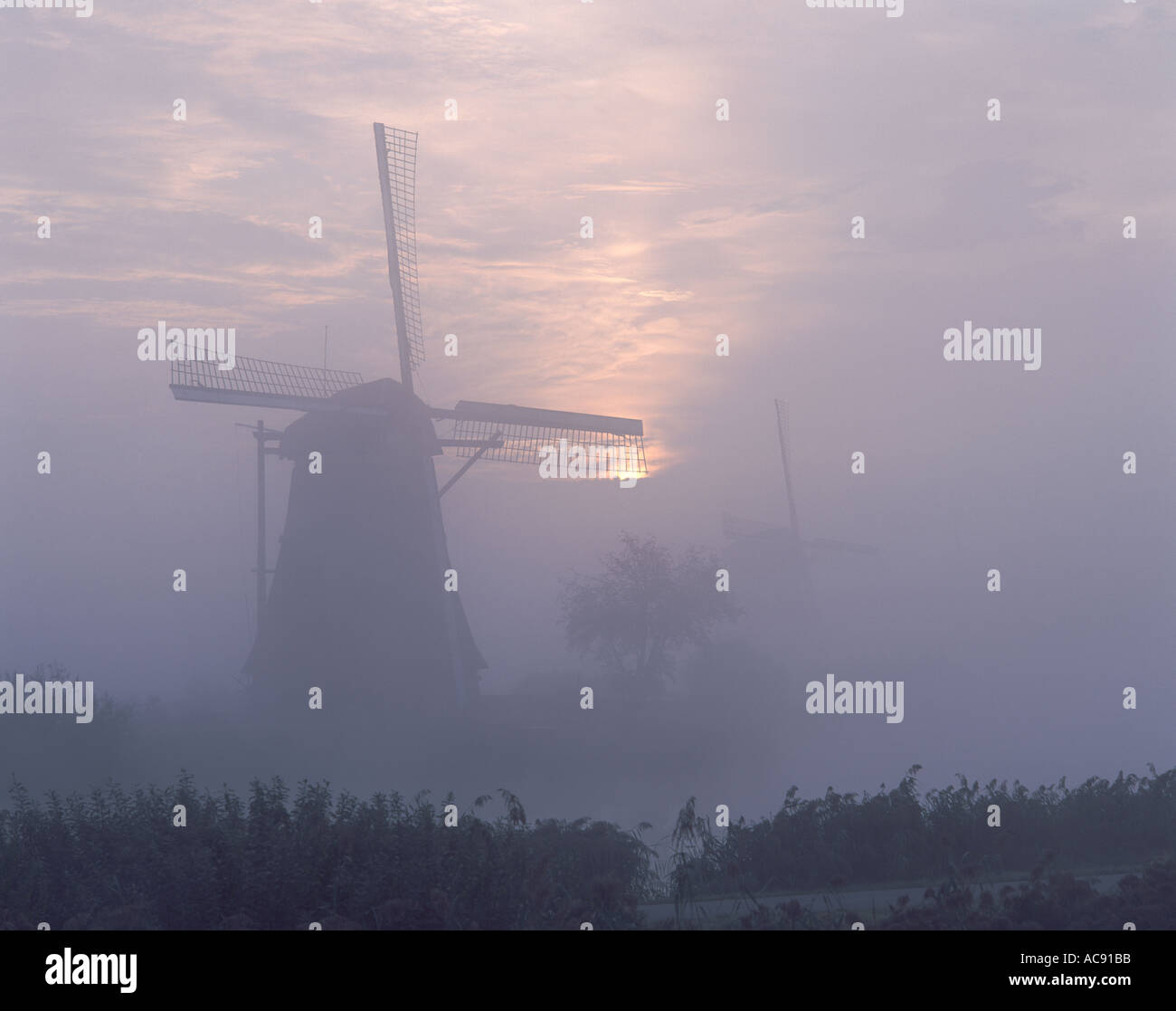 Mulini a vento; sunrise e la nebbia a Kinderdijk, Olanda Foto Stock