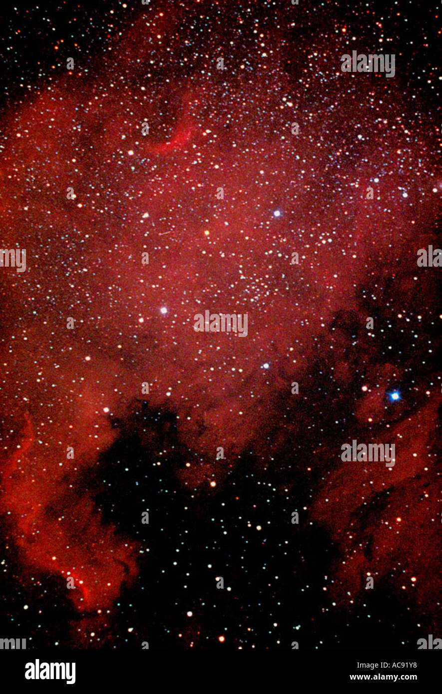 America del nord Nebula NGC 7000, Germania Baden-Wuerttemberg Foto Stock