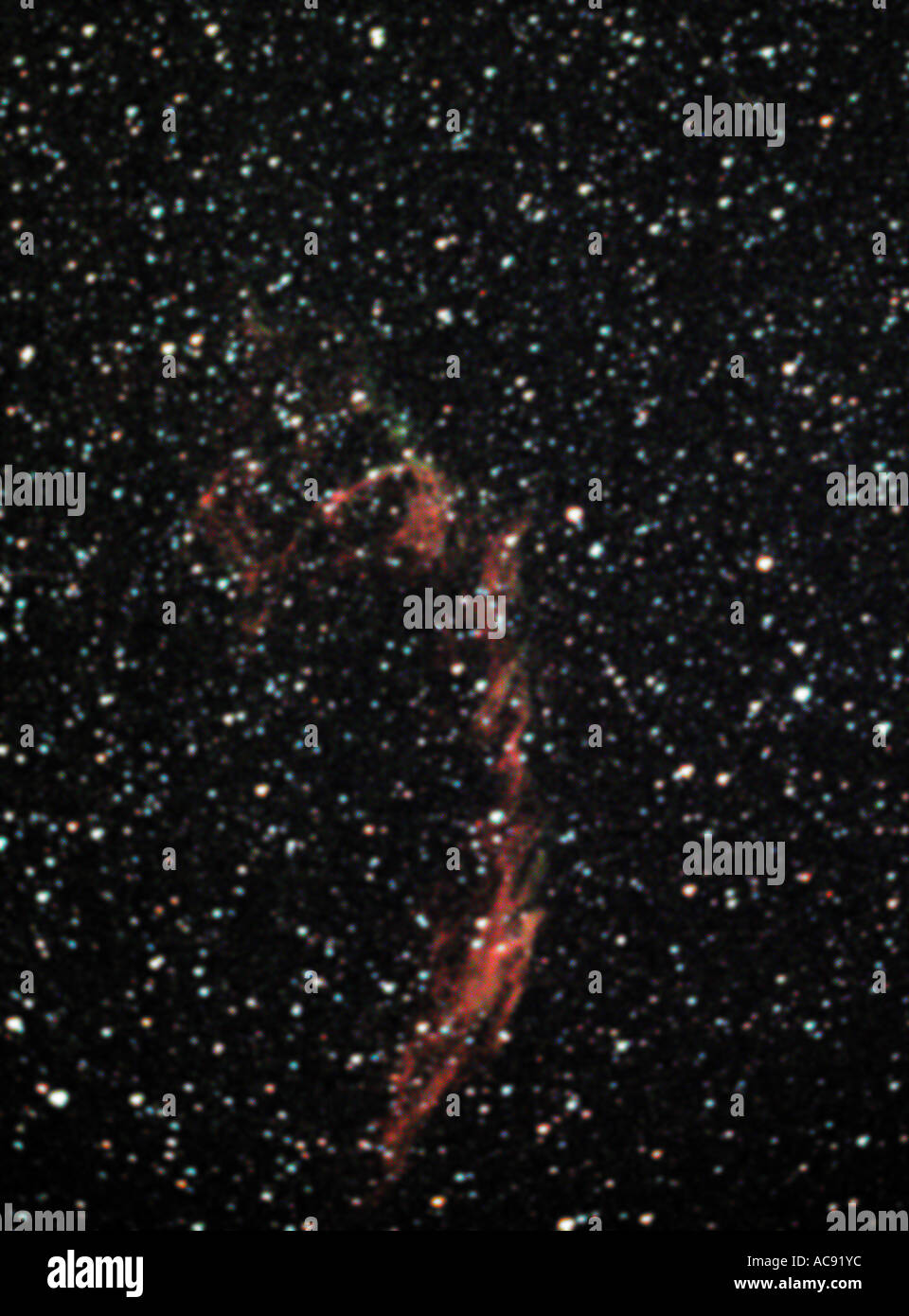 Strega' Ginestra Nebula, Bridal Veil Nebula, Cygnus Loop, velo Nebula NGC 6960, supernova residuo si trova a circa 1400 anni luce in un Foto Stock