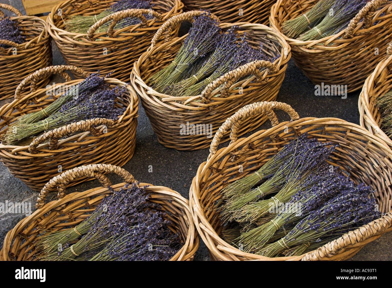 Lavanda (Lavandula angustifolia, Lavandula officinalis), cesti con mazzi, Francia Provenza Foto Stock