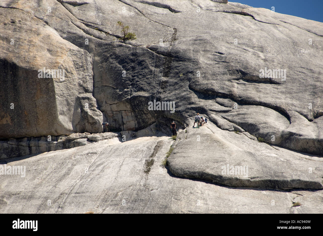 Arrampicata su roccia nel Parco Nazionale di Yosemite Foto Stock