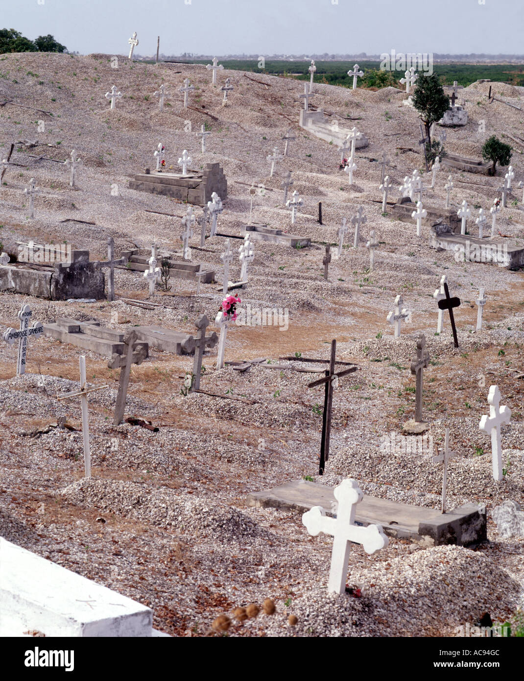 Cimitero con coralli, Senegal Foto Stock